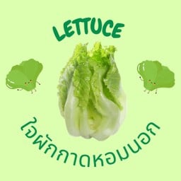 ใจผักกาดหอมนอก กรอบ สดใหม่