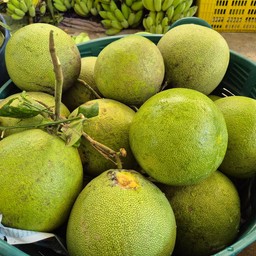 น้ำหนักลูก 1.3-1.8 กก