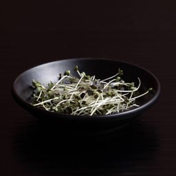 ต้นอ่อนมัสตาร์ดแดง