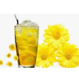 น้ำเก๊กฮวย