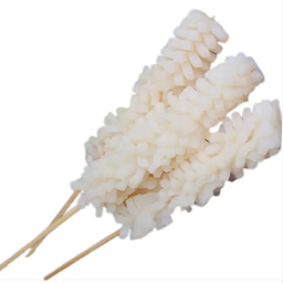 ปลาหมึก