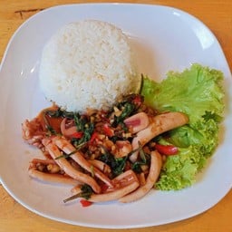 ข้าวกะเพราปลาหมึก