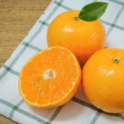 ส้มสายน้ำผึ้ง