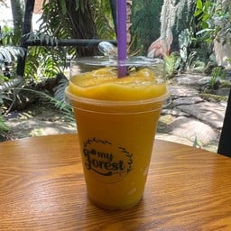 My forest cafe & Coffee Roasters