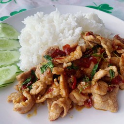 ข้าวกะเพราหมูชิ้นราดข้าว