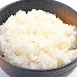 ข้าวญี่ปุ่น