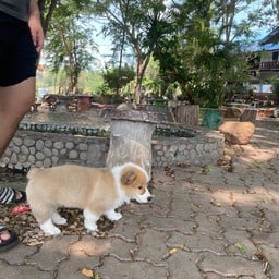 บ่อน้ำร้อนแม่ขะจาน