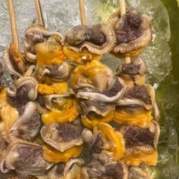 หอยแครง