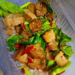 ผัดคะน้า