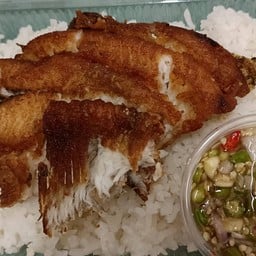 ข้าวปลาแกะ