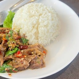 ข้าวราดกะเพราเนื้อตุ๋น