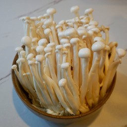 เห็ดชิเมจิ Shimeji mushrooms