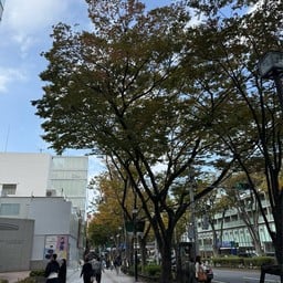 Omotesando