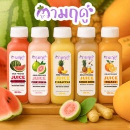 Seasonal ตามฤดู Tam Season ตามฤดู