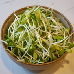 ต้นอ่อนทานตะวัน Sunflower sprouts