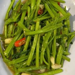 ผักบุ้งไฟแดง