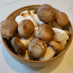 เห็ดเออรินจิ Eryngii mushrooms