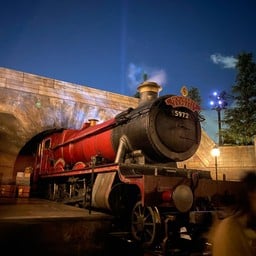 The Wizarding World of Harry Potter