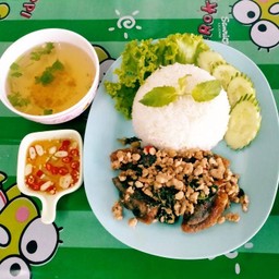 กระเพราไข่เยี่ยวม้าราดข้าว