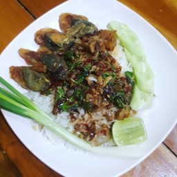 ข้าวกระเพรา ไข่เยี่ยวม้า + หมูสับ