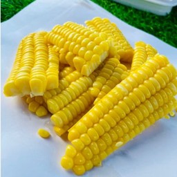 Sweet Corn