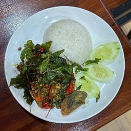 กะเพราไข่เยี่ยวม้าราดข้าว