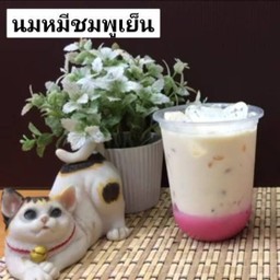 นมหมีชมพูเย็น