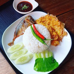 ข้าวปลาทู + ไข่เจียว