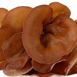 Wood Ear Mushroom