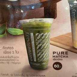 เพียวมัจฉะ