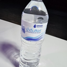 น้ำดื่มสิงห์ (ขวดเล็ก)