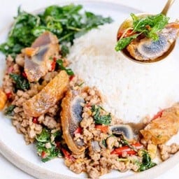 ข้าวกะเพราไข่เยี่ยวม้าหมูสับ