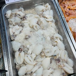 หมึกกระดอง 2 ขีด