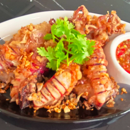 ปลาหมึกไข่แดดเดียว 