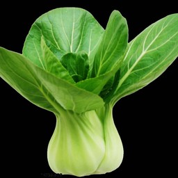 กวางตุ้ง油菜 50g.