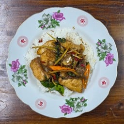 ปลากะพงผัดฉ่าราดข้าว