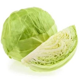 กะหล่ำ (Cabbage)