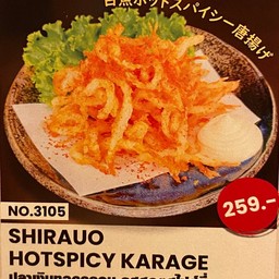 3105.Shirao Hospicy karage