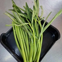 ผักบุ้ง