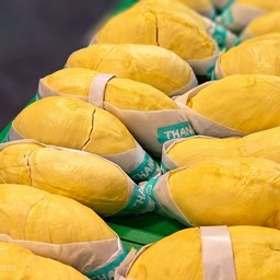 ทุเรียนหมอนทอง 500 กรัม เกรดพรีเมี่ยม