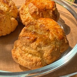 Plain scone