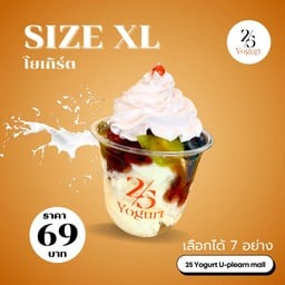 25 Yoghurt -