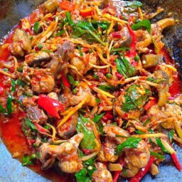 ผัดเผ็ดปลาไหล (ราดข้าว)