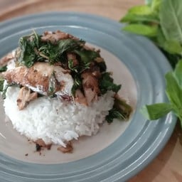 ข้าวกะเพราปลาทู