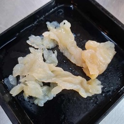 แมงกะพรุน