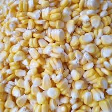 ข้าวโพด (Corn)