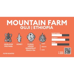 MOUNTAIN FARM l GUJI ETHIOPIA