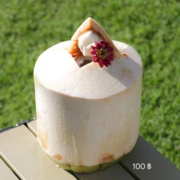 Coconut Juice