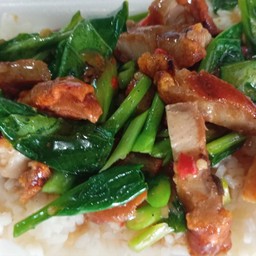 ผัดคะน้าน้ำมันหอย