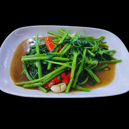 ผักบุ้งไฟแดง